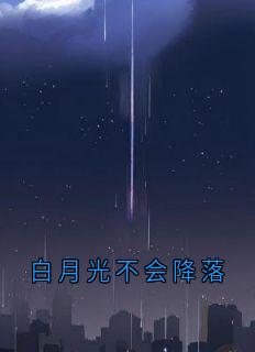 白月光不会降落