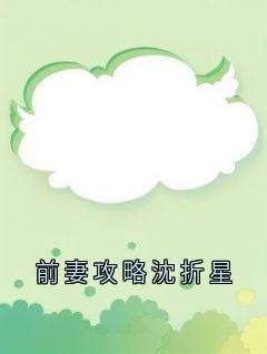 前妻攻略沈折星