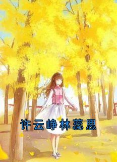许云峥林蕊思