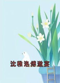 沈稚洛傅澈宴
