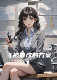 被篡改的方案