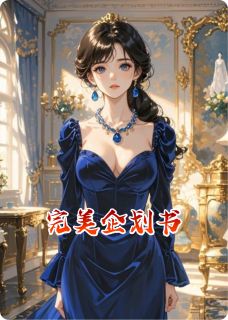 完美企划书