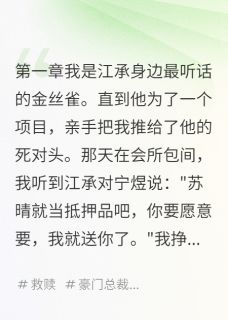 被送人的那晚我怀孕了