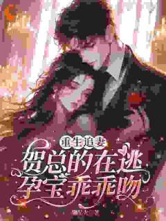 重生追妻，贺总的在逃孕宝乖乖吻
