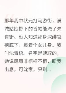 我，女扮男装，夺了天下
