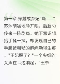 锦绣风华：王妃的逆袭之路