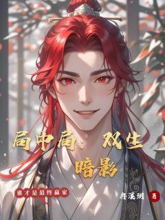 局中局：双生暗影