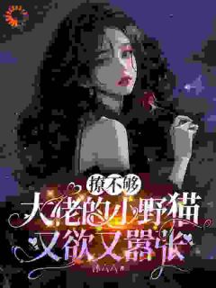 撩不够，大佬的小野猫又欲又嚣张