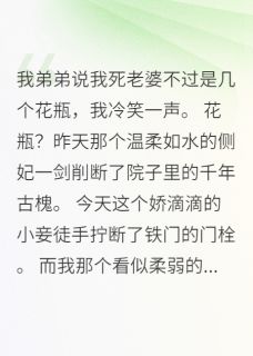 穿越王爷：我的老婆都是绝世高手