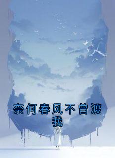 奈何春风不曾渡我
