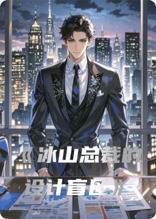 冰山总裁的设计盲区