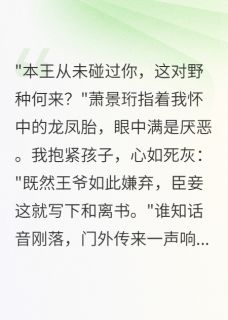 装痴王爷负我后我改嫁少年将军