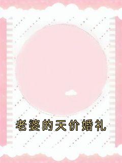 老婆的天价婚礼