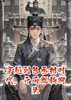穿越包拯时代，沈槐险中求生
