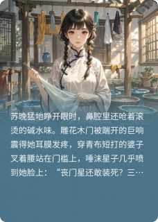 染坊重生