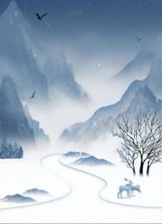 钟子矜苏景
