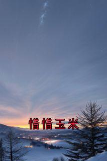 惜惜玉米